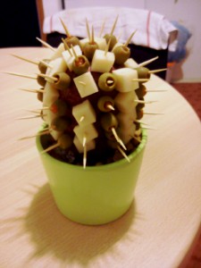 jedly-kaktus.jpg